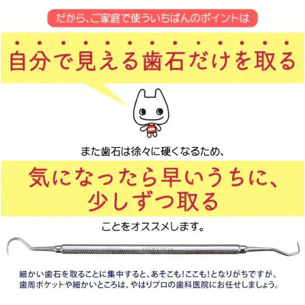 歯石取り 歯石除去 ヤニ取り 歯科専売 両頭鎌型スケーラー H5-33 1本 ／ 実際に歯科医院で使用されているプロ仕様！ 【メール便送料無料】
