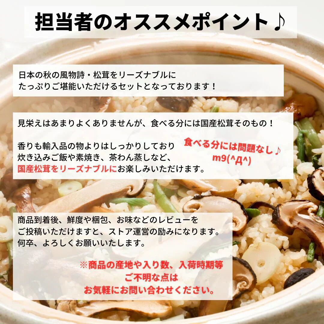 訳あり国産松茸 市場直送でお届け たっぷり堪能できる約200g入り