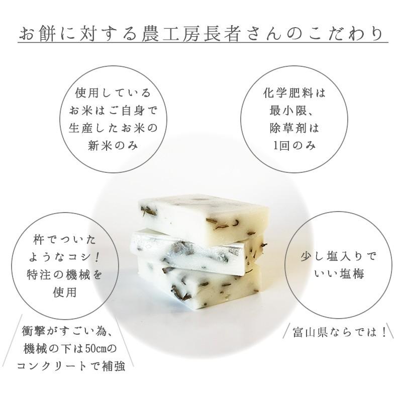 【12月初旬より順次発送】昆布問屋のこんぶ餅 1パック250g 6切入×3袋 新米のもち米のみ使用