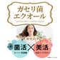 ガセリ菌エクオール まとめ買い 2個セット ガセリ菌 善玉菌 乳酸菌 腸活 菌活 エクオール サプリメント 大豆イソフラボン サプリメント 大容量 お徳用 健康 美容 RoyalBS 日本製