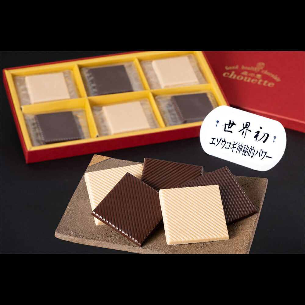 チョコレート ビター ホワイト エゾウコギ入り「森の恵シュエット」《詰め合わせ・スクエア18枚入》