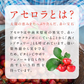 アセロラたっぷりビタミンC《約3ヶ月分》サプリ/アセロラサプリ/ビタミンCサプリ