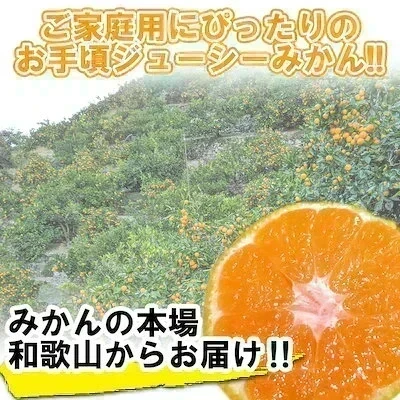 みかん 激レア小粒 直径4.5cm前後 訳あり 和歌山有田みかん 2kg