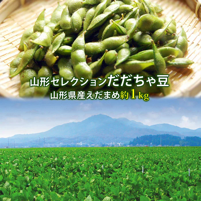 【8月中旬～下旬頃発送】山形 セレクション だだちゃ豆 1kg 枝豆 豆 まめ えだまめ 有機肥料栽培 低農薬栽培