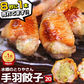 8秒に1本売れてる！手羽餃子 20本入 冷凍 餃子 国産鶏肉 惣菜 おかず 簡単調理 お取り寄せ グルメ 手羽先餃子 ビール おつまみ BBQ 人気 点心 送料無料
