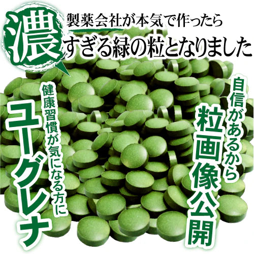 【約6ヵ月分/360粒入り】ユーグレナ ダイエッター必見の話題の成分 クロレラ ビタミン 酵素 大麦若葉 サプリメント サプリ 大容量 送料無料 ユーグレナ約6ヵ月分（360粒）