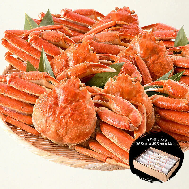 ずわい蟹 姿 3kg 600g前後×5尾 カニ かに 海鮮 ズワイガニ ずわいがに お取り寄せ 美味しい 蟹 ずわい ズワイ 蟹鍋 魚介 お取り寄せグルメ まとめ買い 食べ物 食品 ［送料無料］ 母の日 プレゼント ギフト  母の日思いの 健康 実用的 父の日 子供 孫