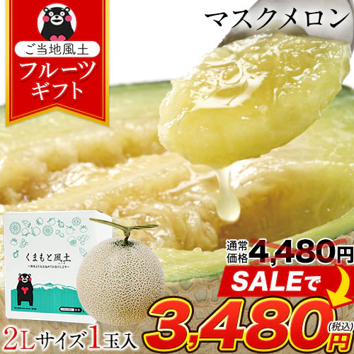 九州産 マスクメロン 2Lサイズ 秀品 1玉 約1.2kg 送料無料 熨斗対応 ギフト プレゼント メロン 贈答 フルーツギフト 贈り物  《1-5営業日以内に出荷予定（土日祝除く）》