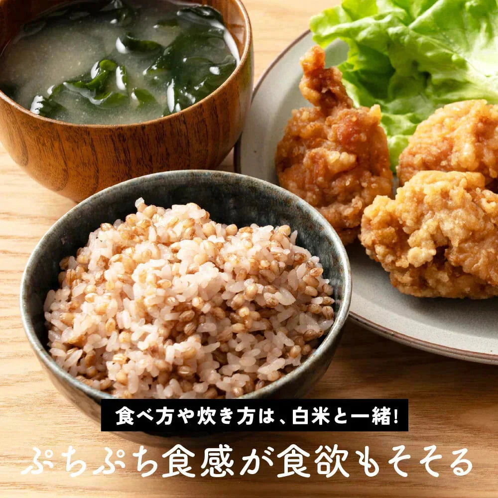 雑穀 雑穀米 国産 家計お助け米 もち麦ミックス 5kg(1kg×5袋)