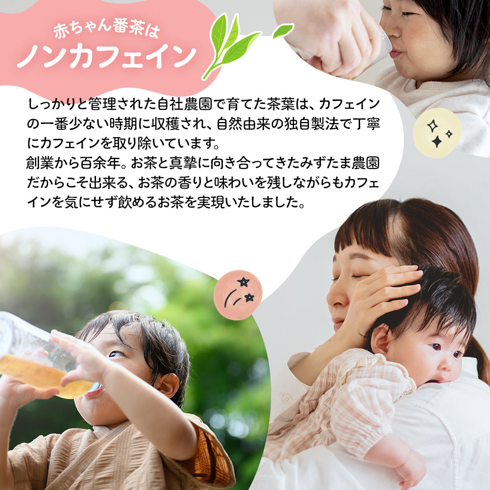 太陽さんさん 赤ちゃん番茶 ティーバッグ 5ｇ×50個入 ノンカフェイン ほうじ茶 マタニティ  水出し お茶 妊婦 カフェインフリー 赤ちゃん お茶 ティーパック 飲料 ベビー飲料 妊婦 妊娠 ママ 送料無料 パック