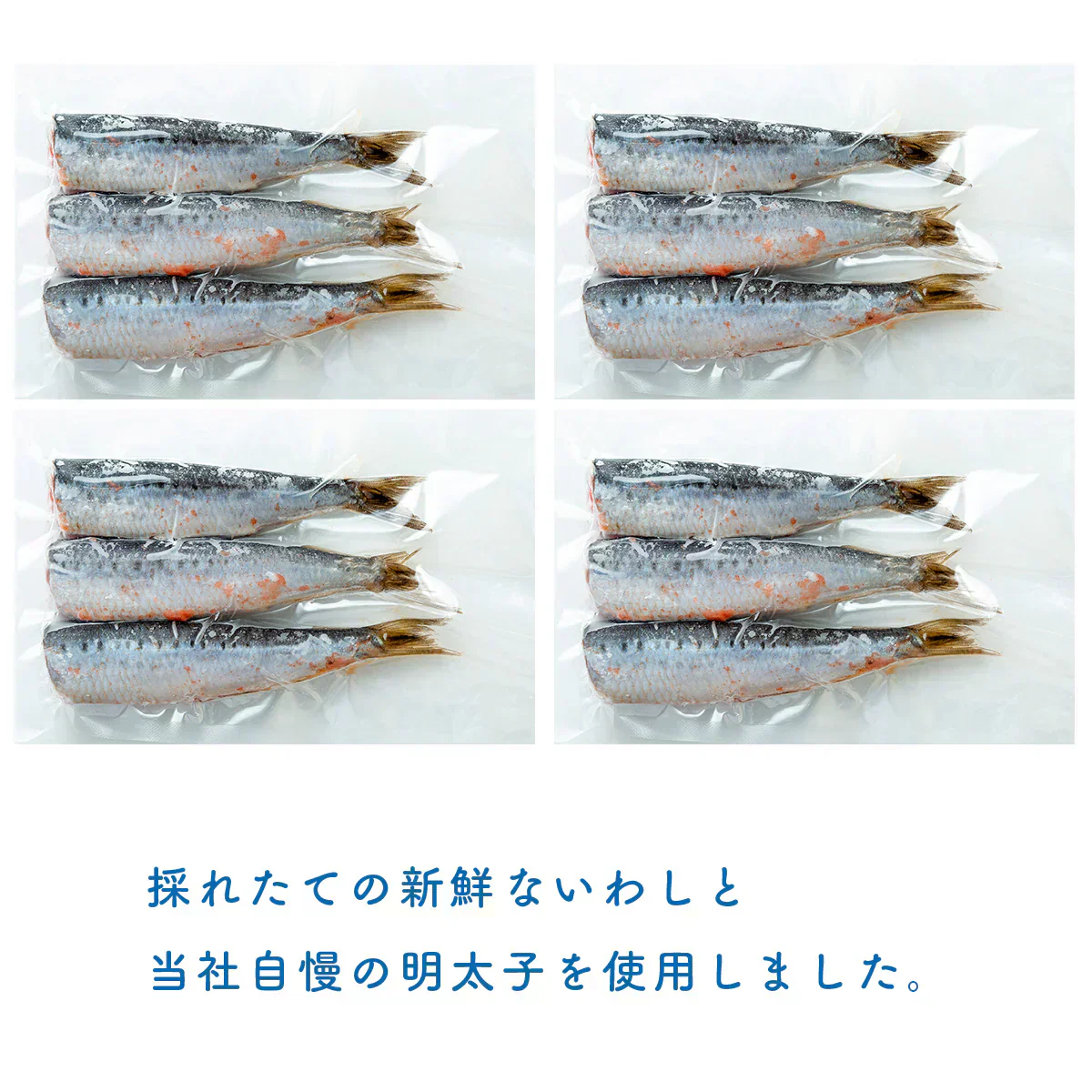 いわし明太子 6尾入(3尾×2袋)×2箱セッ ト