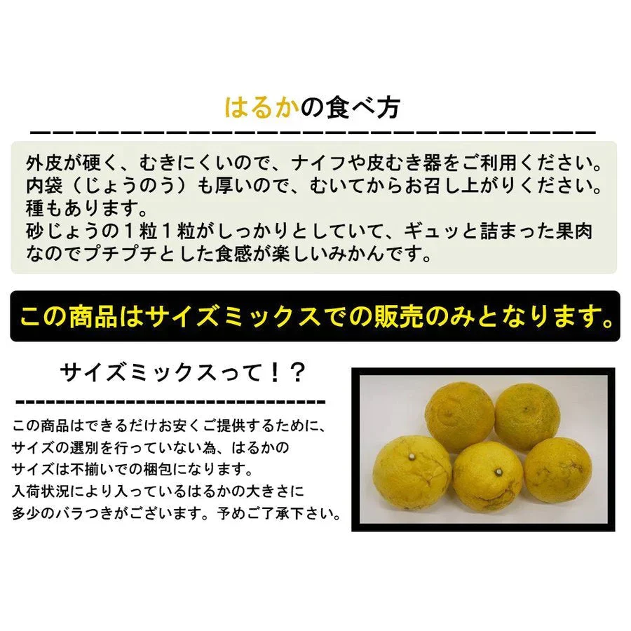 はるか みかん 訳あり 5kg 送料無料 ご家庭用 箱買い B品 サイズミックス 柑橘 フルーツ 産地直送 愛媛県産 YDF-005