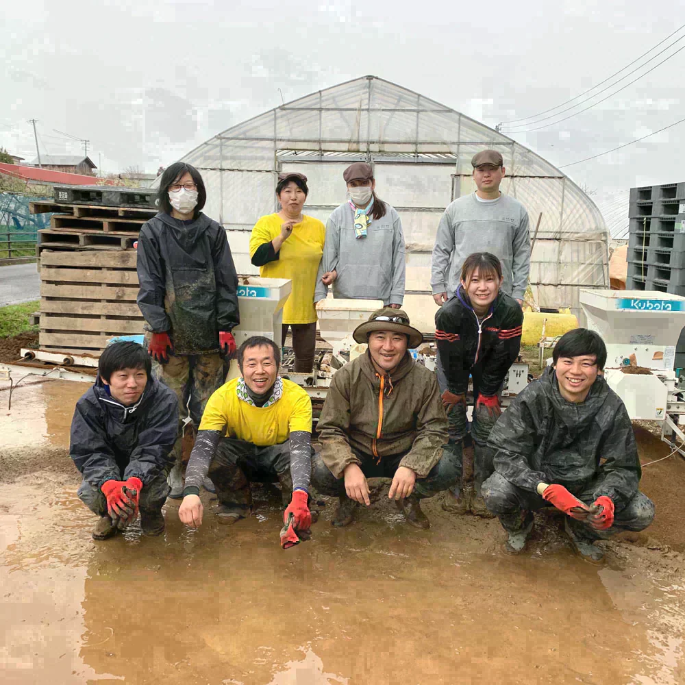 宮城県産 ひとめぼれ 精米25kg（5kg×5袋）令和7年産 古代米プレゼント付き