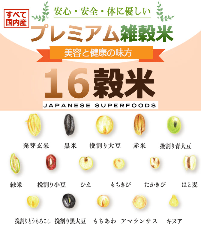雑穀米 3kg(300g×10袋) 厳選国産 体に優しい配合 十六穀米 無添加