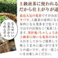【2個セット】日本橋いなば園 静岡深蒸し茶 荒茶づくり 100g ネコポス メール便送料無料