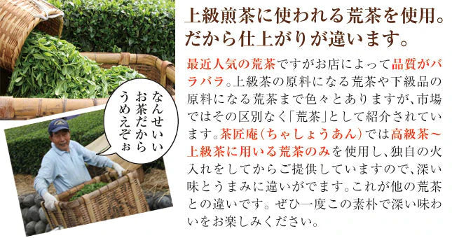 【2個セット】日本橋いなば園 静岡深蒸し茶 荒茶づくり 100g ネコポス メール便送料無料