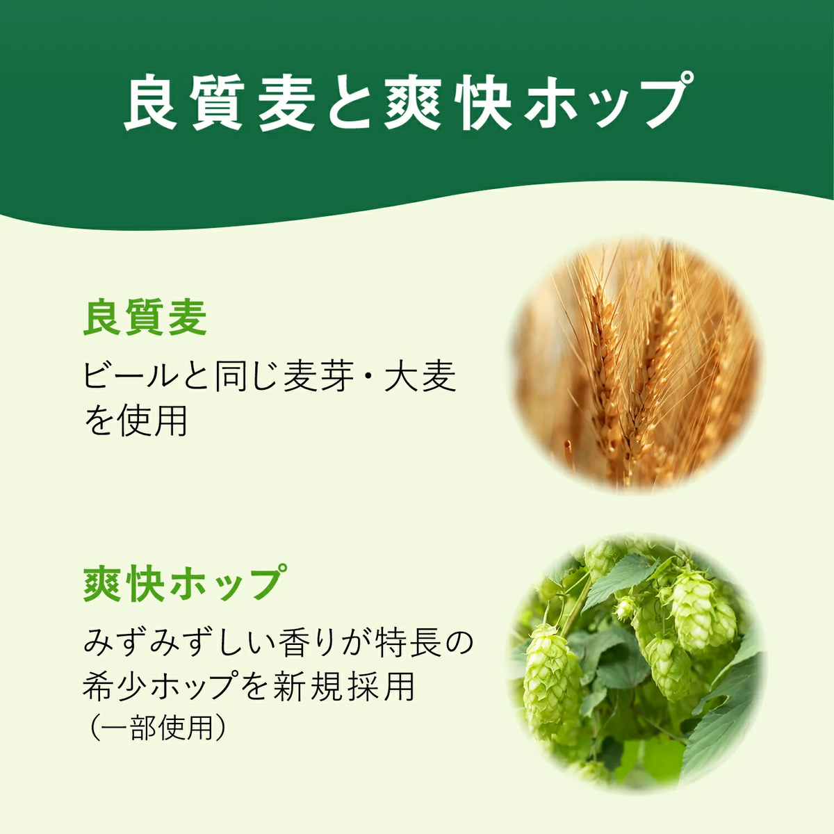 【送料無料】【8本増量サービス】ノンアルコールビール キリン グリーンズフリー 350ml×48本＋おまけ8缶