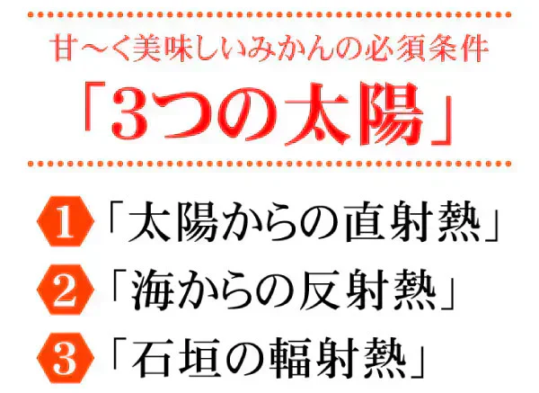★レビュー悪 使用しない★有田みかん 10kg 和歌山産 ご家庭用