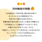 河内晩柑 Ｂ級品 (9kg) ※中玉・大玉MIX　訳あり  晩柑 ご家庭用 箱買い B品 サイズミックス 柑橘 みかん フルーツ 果物 産地直送 愛媛県産