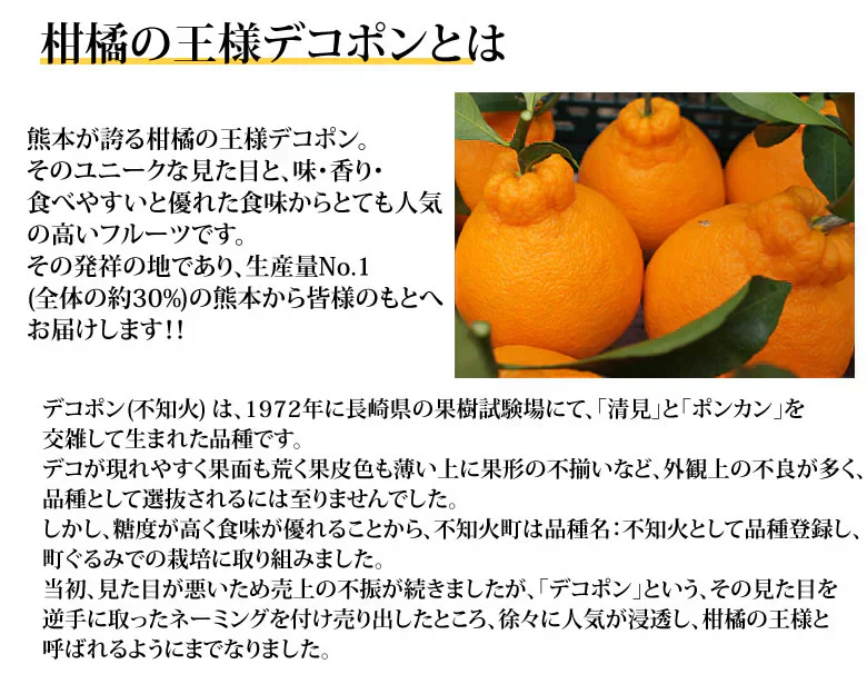 デコポン 光センサー選果 約5kg みかん 御歳暮 ギフト DEKOPON 熊本県産 不知火 フルーツ お取り寄せ 蜜柑 ミカン