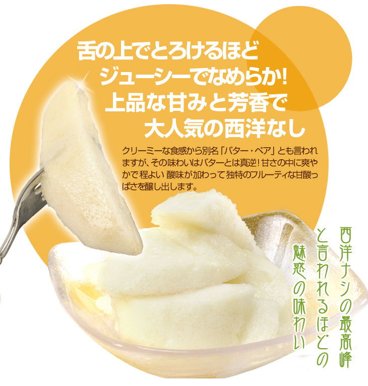 洋梨 ラ・フランス 5kg 山形産 フルーティーに香り立つ とろける甘さ ラフランス （発送予定:10月下旬より）