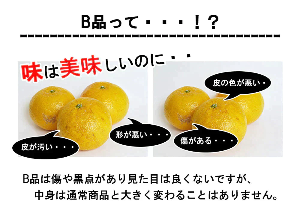 甘夏 訳あり 5kg みかん 蜜柑 ご家庭用 箱買い B品 サイズミックス あまなつ 柑橘 フルーツ 果物 産地直送 愛媛県産 YDF-014