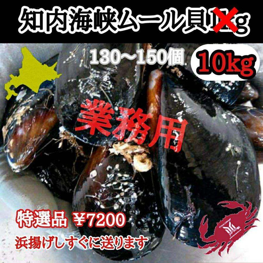 北海道産 浜揚げ直送 ムール貝 10kg