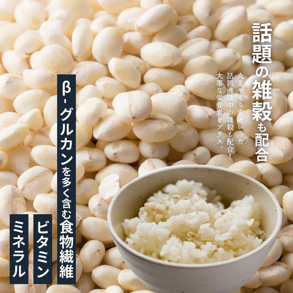 雑穀 雑穀米 国産 麦５種ブレンド 24kg(400g×60袋) [丸麦/押麦/はだか麦/もち麦/はと麦] 無添加 無着色 業務用サイズ 送料無料