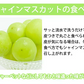 【7月下旬～8月上旬頃より順次出荷】シャインマスカット ぶどう 送料無料 1kg 2〜3房 九州産 マスカット 葡萄 ブドウ