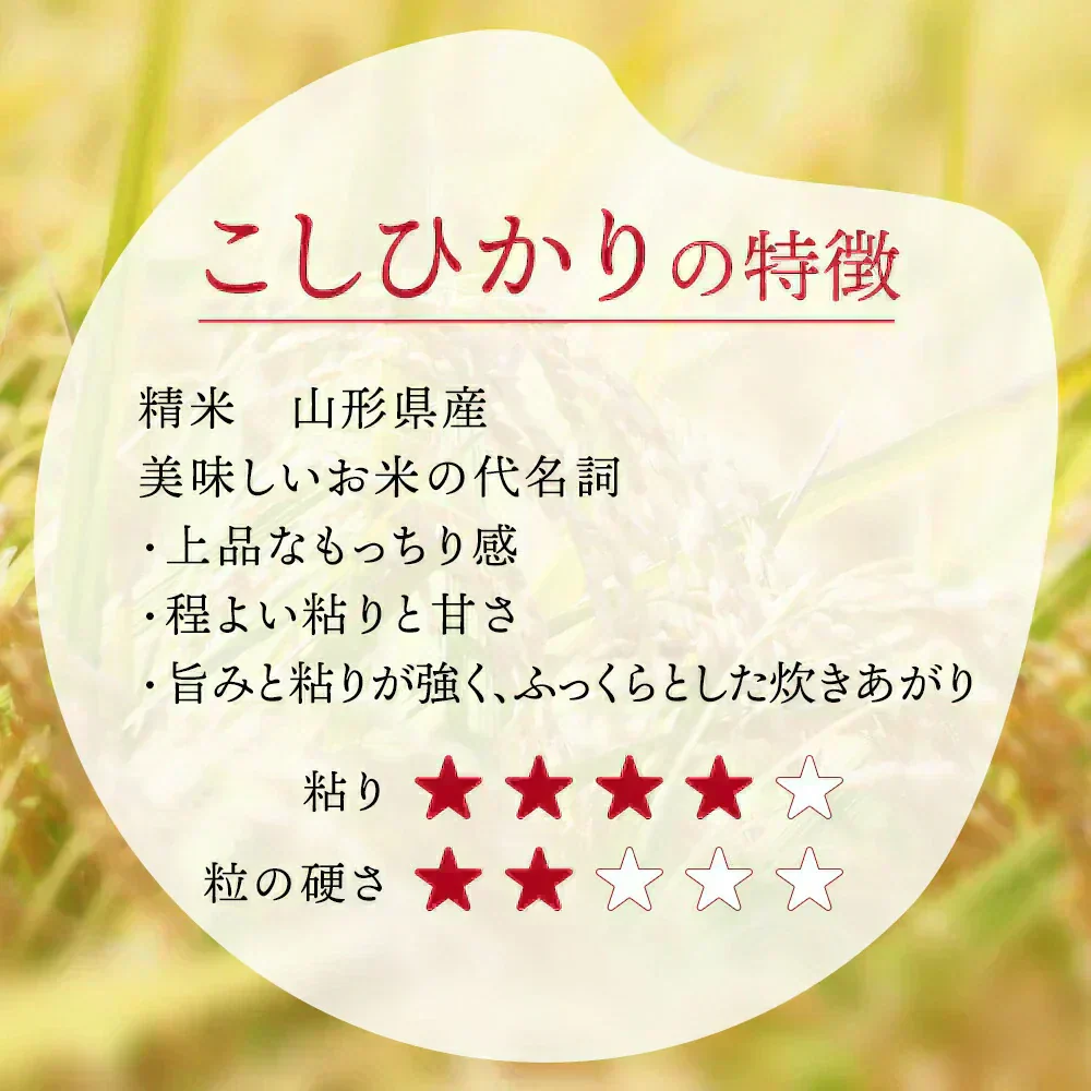 【令和7年】 山形県産 こしひかり 10キロ (精米) 5kg×2袋  送料無料 米 コメ おこめ 新米