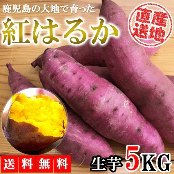 紅はるか さつまいも 5kg 産地直送 産直 土付き さつま芋 薩摩芋 焼きいも 焼き芋 石焼き芋 芋 いも イモ 鹿児島県産 FJK-000