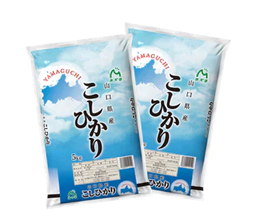 【100セット限定】山口県産コシヒカリ5㎏×2袋