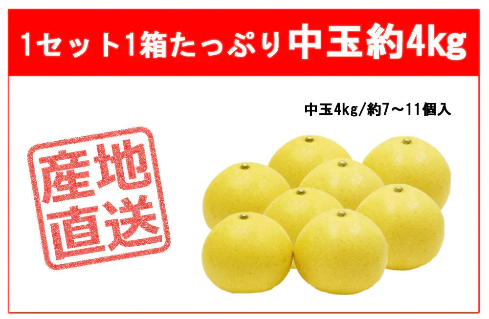 土佐文旦 中玉 4kg 送料無料 ご家庭用 箱買い サイズミックス みかん 柑橘 フルーツ 果物 産地直送 愛媛県産 YDF-007