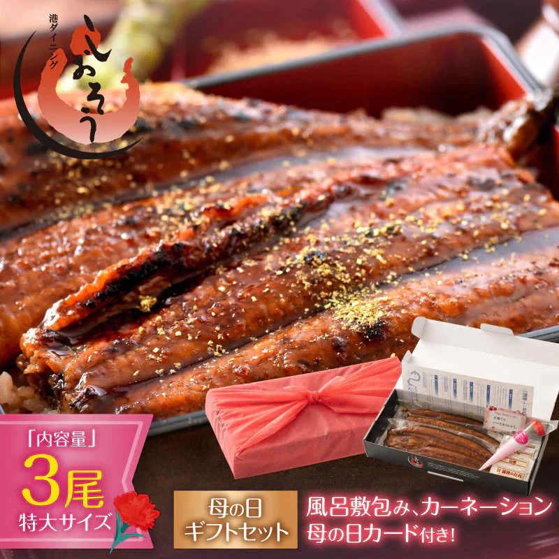 【母の日ギフトセット】 鰻 うなぎ 蒲焼き 国産鰻 無頭 国産 特大サイズ 約200g×3尾 【5/11出荷、5/13～5/14お届け】 ウナギ 食べ物 国産ウナギ グルメ うなぎの蒲焼 鰻の蒲焼 うなぎ蒲焼 国産うなぎ 旬の味覚 ウナギ蒲焼き 贈り物 贈答 化粧箱 送料無料 母の日 プレゼント