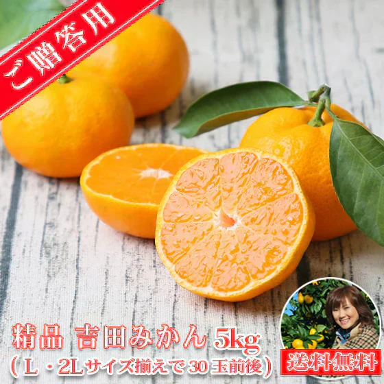 みかん　精品　吉田みかん　５ｋｇ　Ｓ吉０５　贈答用　精品　中玉　Ｌか２Ｌのいずれかのサイズ揃えで約３０玉前後　ミカン　蜜柑　フルーツ　果物　柑橘　贈答用　贈物　贈答　お歳暮　送料無料