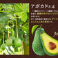 CoCo avo（ココアボ）《約3ヶ月分》エキストラバージンココナッツオイル＆アボカドオイル/ミネラル/カリウム/ダイエット/ココナッツ/ココナッツオイル/美容サプリ