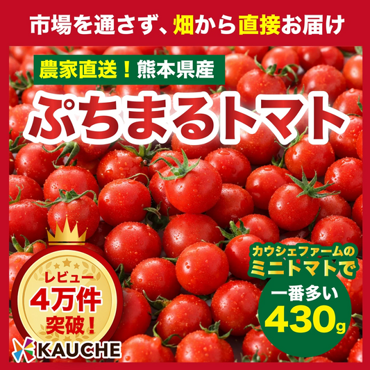 【10営業日以内に発送】ぷちまるトマト★ 430g（260~280g+補償分150g)【カウシェファーム収穫対象商品】
