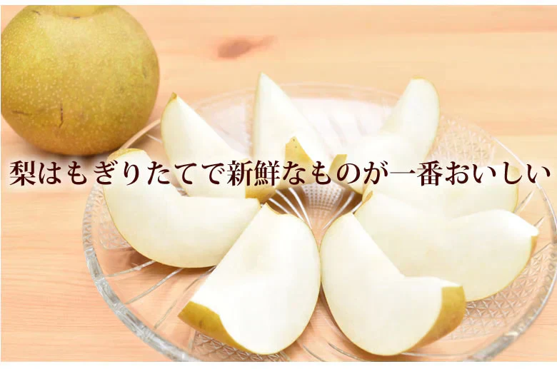梨 秋月 送料無料 秀品 約3kg 6〜10玉 熊本県産 お取り寄せ フルーツ ナシ なし 幸水 秋月 新高