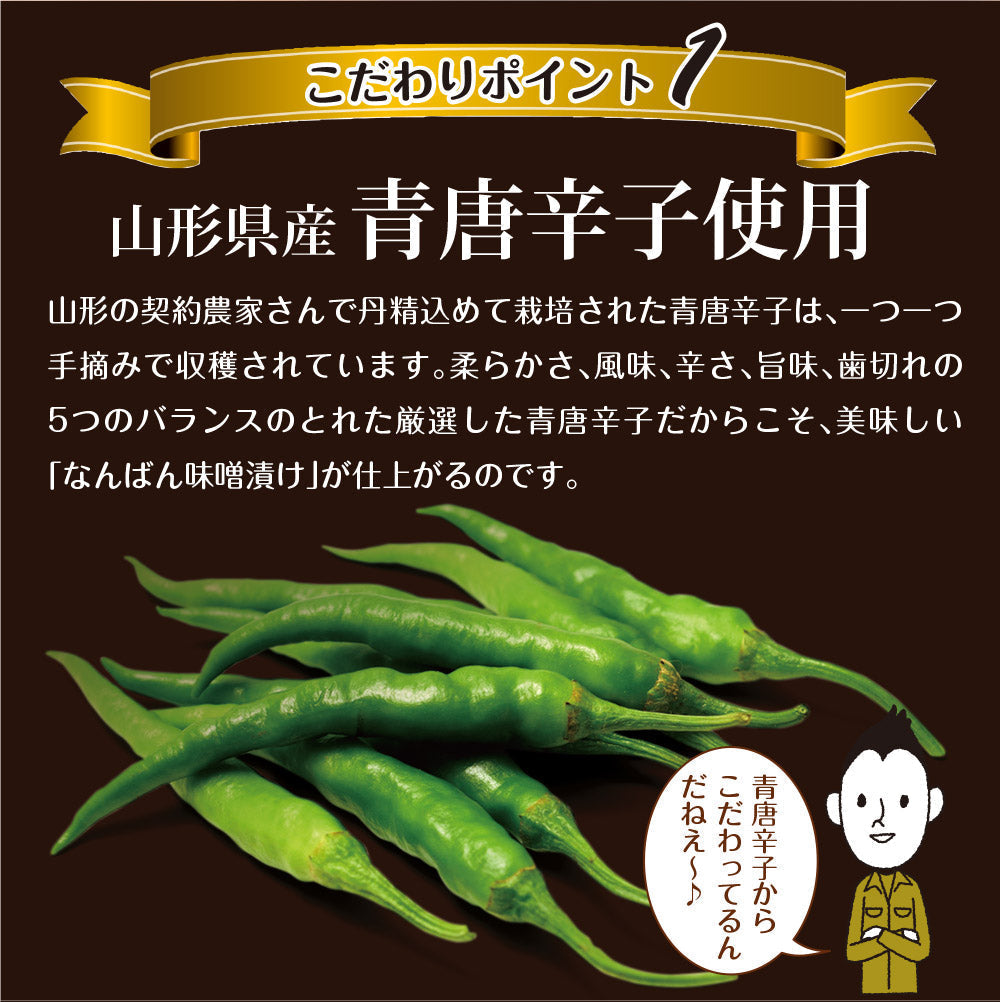 日本橋いなば園 山形県産 なんばん味噌漬け 100g ネコポス メール便送料無料