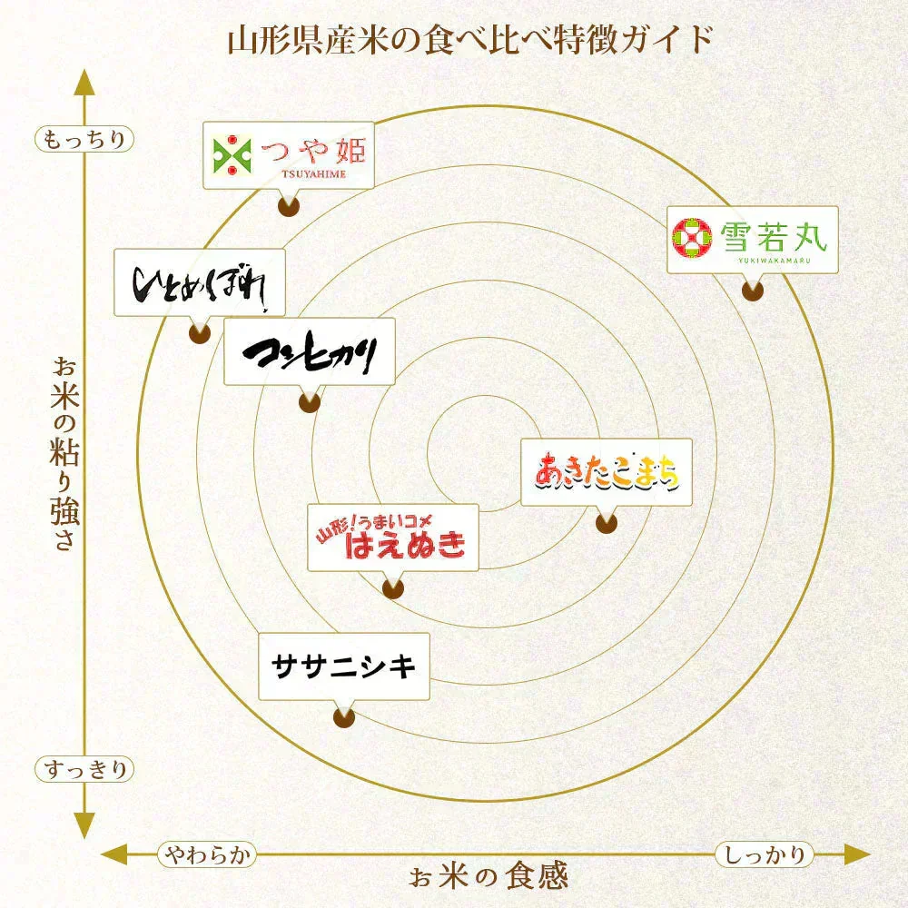 ひとめぼれ 無洗米 20kg (5kg×4袋) 山形県産 令和7年産 送料無料 米 20キロ こめ コメ お米 精米 新米 お米20kg ひとめぼれ20kg ひとめぼれ20キロ