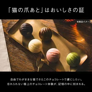 ●終売 I LOVE CACAOCAT 缶