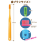 歯ブラシ Ci PRO PLUS スパイラル／Mふつう／25本入り プロプラス スパイラル【Ciメディカル 歯ブラシ】【メール便送料無料】