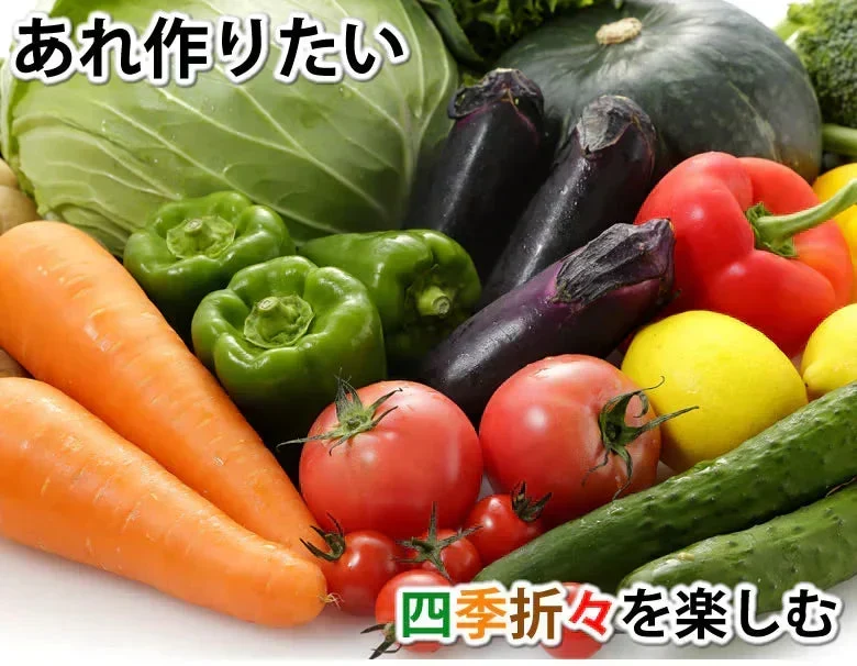 野菜セット 九州産 10～12品目 送料無料 お取り寄せ 80サイズ箱 詰め合わせ 【5～10営業日以内出荷(土日祝日除く)】やさい 産地直送 野菜 季節 旬 トマト きゅうり キャベツ かぼちゃ 小松菜 ほうれん草 人参 じゃがいも 玉ねぎ ごぼう ピーマン
