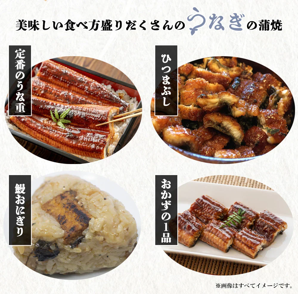 うなぎ蒲焼 鰻蒲焼 2尾 送料無料 特大サイズ 蒲焼 土用の丑の日 うなぎ ウナギ 鰻 中国産 メーカー直送 shr-021