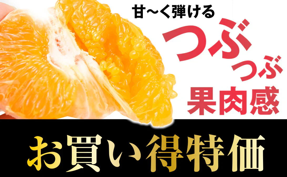 みかん　大分産　はるみ　1.5kg　ご家庭用（発送予定：2025年3月中旬より）