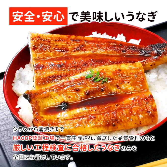 国産 うなぎ蒲焼き 約170g×3尾 送料無料 九州産 今だけ200gにグレードアップ