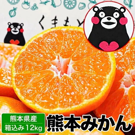 熊本みかん 訳あり みかん 熊本県産 熊本 みかん 箱込み 12kg 小玉 不選別 みかん 家庭用 送料無料 早生 ミカン フルーツ お取り寄せ 柑橘 フルーツ 果物  《11月上旬ー11月下旬に出荷予定》
