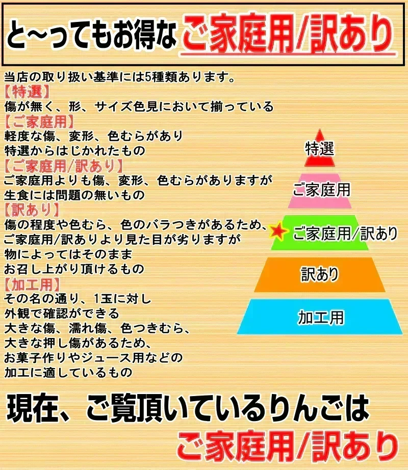 即日発送！青森県産 りんご トキ 10kg箱 家庭用/訳あり ★トキ 家訳 10kg箱