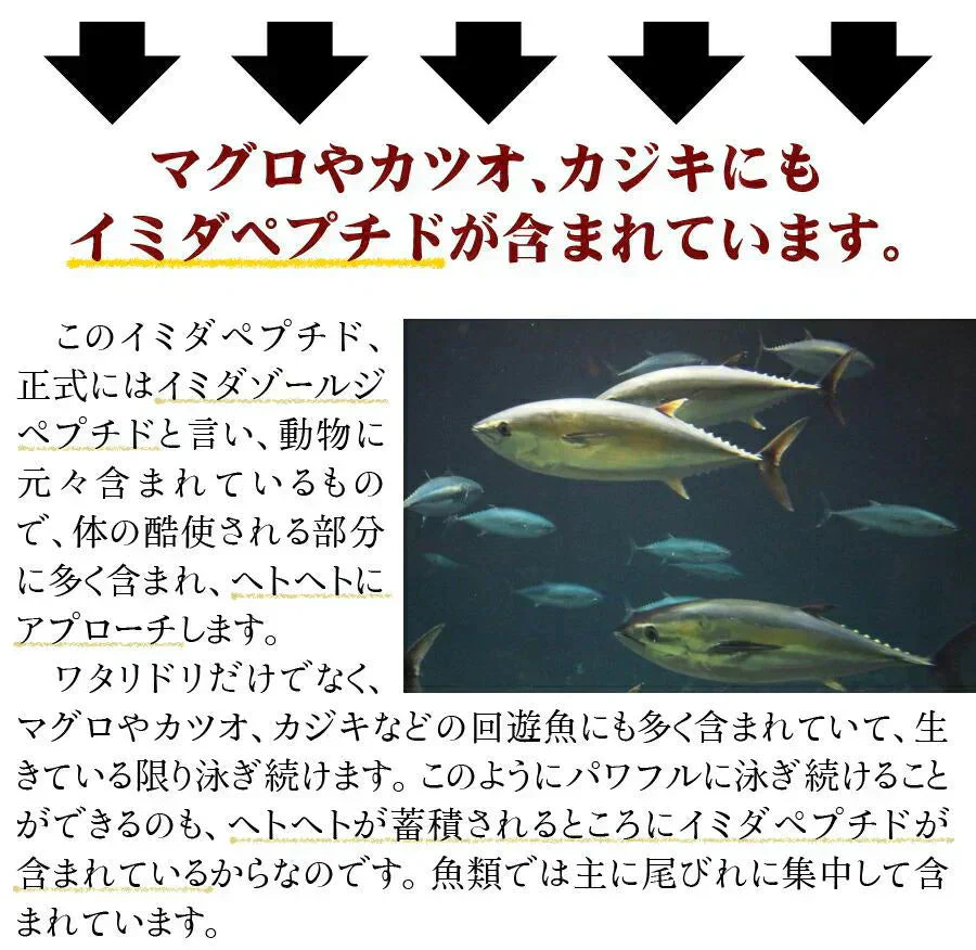 【大容量★約6ヶ月分】healthylife イミダペプチドGOLDタブレット 豊富な元気成分をプラスして あらゆる角度からサポート パワフルで元気な毎日を イミダペプチド 元気 マルチビタミン クエン酸 アスタキサンチン オルニチン ポリフェノール コエンザイムQ10 鉄分 ヘム鉄 おすすめ 人気 ランキング 効果 強力 最強 通販 日本製 国産健康サプリ 健康食品 「福袋」