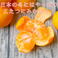 みかん　特撰　吉田みかん　３ｋｇ３箱　特撰０３０３　贈答用　精品　中玉　２Ｌサイズ揃えで１５から２０玉前後が３箱　化粧箱入　特撰包装　ミカン　蜜柑　フルーツ　果物　柑橘　贈物　贈答　お歳暮　送料無料